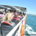 bosphorus cruise golden horn 2 hours boat cruise tour istanbul